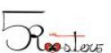 5ROOSTERS S.r.l.